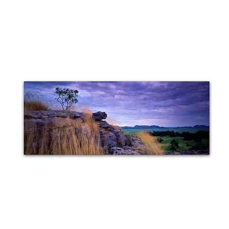 David Evans 'Ubirr-Kakadu' Canvas Art,6x19